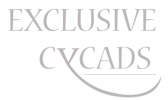 ExclusiveCycads